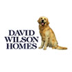 David Wilson Homes